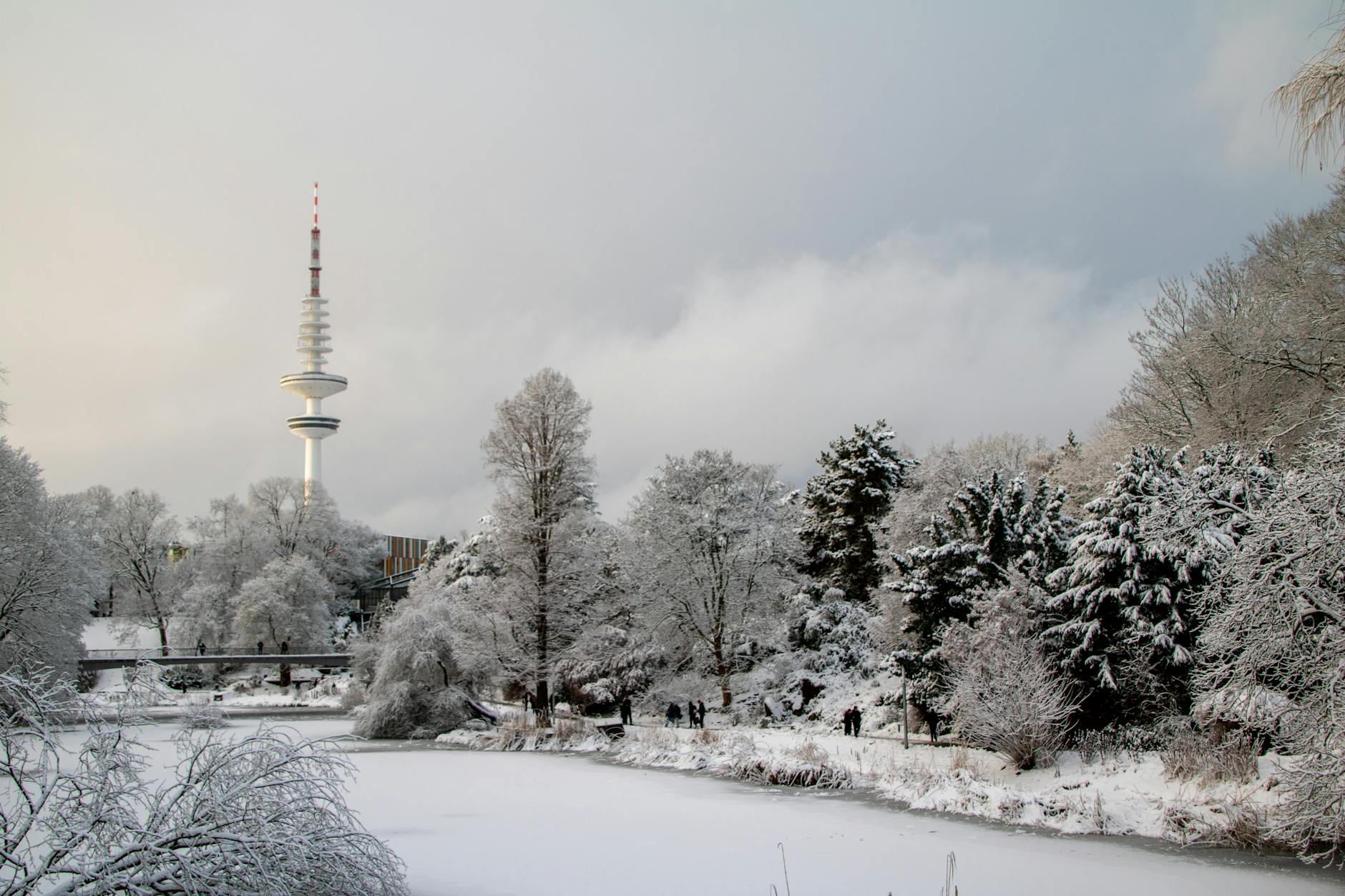 Chien regardant par-dessus une clôture